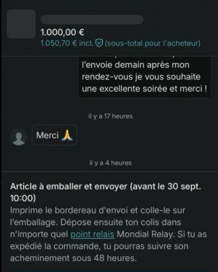 Capture de vente : 1 000 € – Vendu en septembre